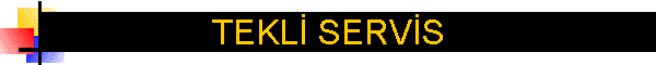 TEKL SERVS